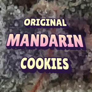Original Mandarin Cookies Cannabis Strain