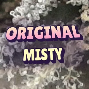Original Misty Cannabis Strain