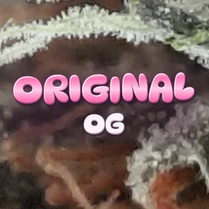 Original OG Cannabis Strain