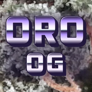 Oro OG Cannabis Strain