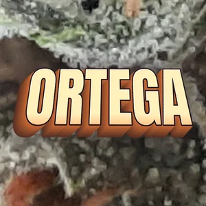Ortega Cannabis Strain