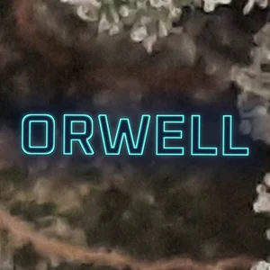Orwell Cannabis Strain