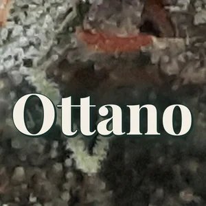 Ottano Cannabis Strain