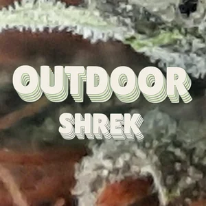 Outdoor Shrek Cannabis Strain