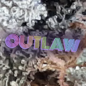 Outlaw Cannabis Strain