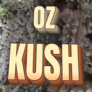 OZ Kush Cannabis Strain