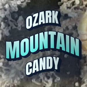 Ozark Mountain Candy Cannabis Strain