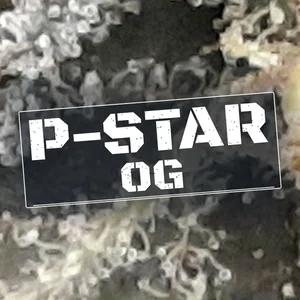 P-Star OG Cannabis Strain