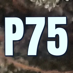 P75 Cannabis Strain