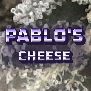 Pablo's Cheese Cannabis Strain