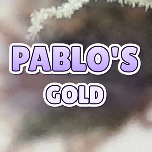 Pablo's Gold Cannabis Strain
