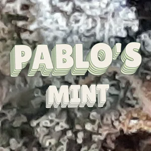 Pablo's Mint Cannabis Strain