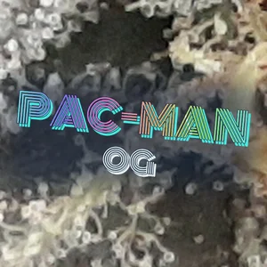 Pac-Man OG Cannabis Strain