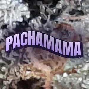 Pachamama Cannabis Strain