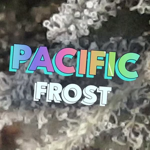 Pacific Frost Cannabis Strain