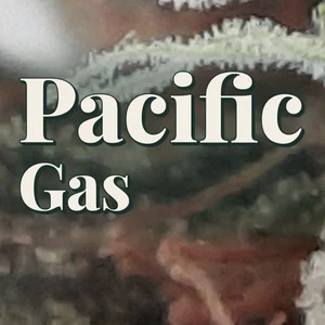 Pacific Gas Cannabis Strain