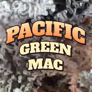 Pacific Green MAC Cannabis Strain
