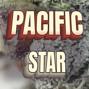 Pacific Star Cannabis Strain