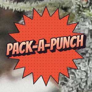 Pack-A-Punch Cannabis Strain