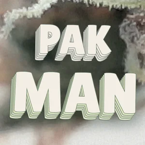 Pak Man Cannabis Strain