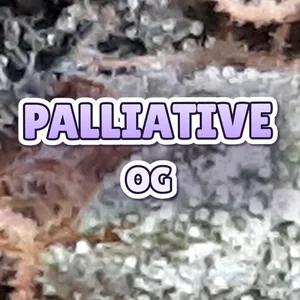Palliative OG Cannabis Strain