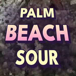 Palm Beach Sour Cannabis Strain