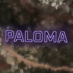 Paloma Cannabis Strain