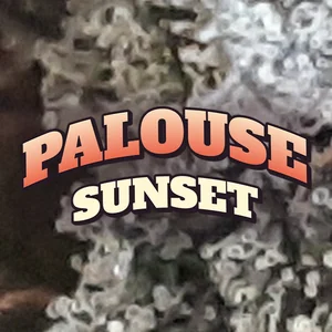 Palouse Sunset Cannabis Strain
