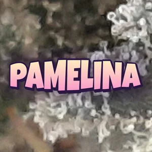 Pamelina Cannabis Strain