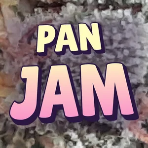 Pan Jam Cannabis Strain