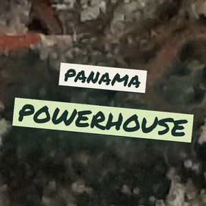 Panama Powerhouse Cannabis Strain
