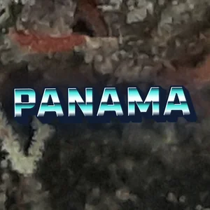 Panama Cannabis Strain