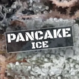 Pancake Ice Cannabis Strain