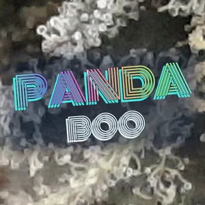 Panda Boo Cannabis Strain