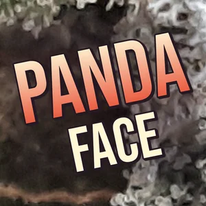 Panda Face Cannabis Strain