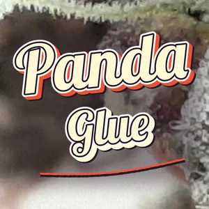 Panda Glue Cannabis Strain