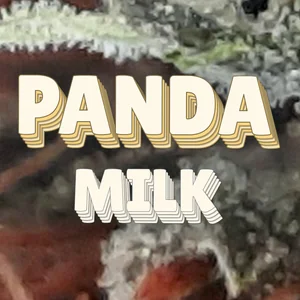 Panda Milk Cannabis Strain