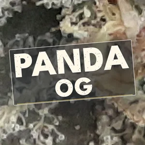 Panda OG Cannabis Strain