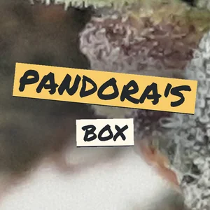 Pandora's Box Cannabis Strain