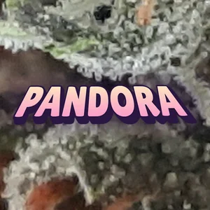 Pandora Cannabis Strain