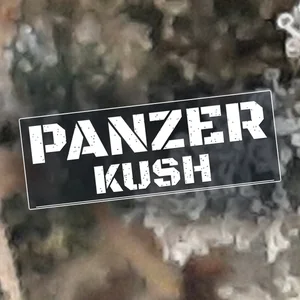 Panzer Kush Cannabis Strain