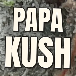 Papa Kush Cannabis Strain