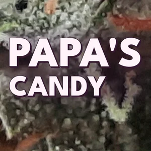 Papa's Candy Cannabis Strain
