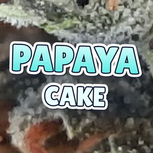 Papaya Cake Cannabis Strain