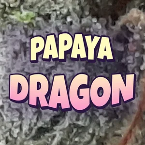 Papaya Dragon Cannabis Strain
