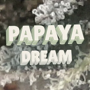 Papaya Dream Cannabis Strain