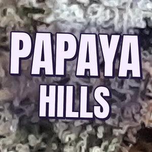 Papaya Hills Cannabis Strain