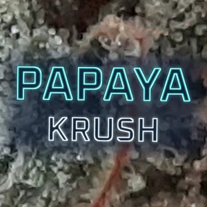 Papaya Krush Cannabis Strain