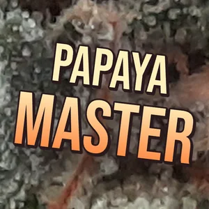 Papaya Master Cannabis Strain