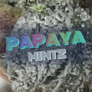 Papaya Mintz Cannabis Strain
